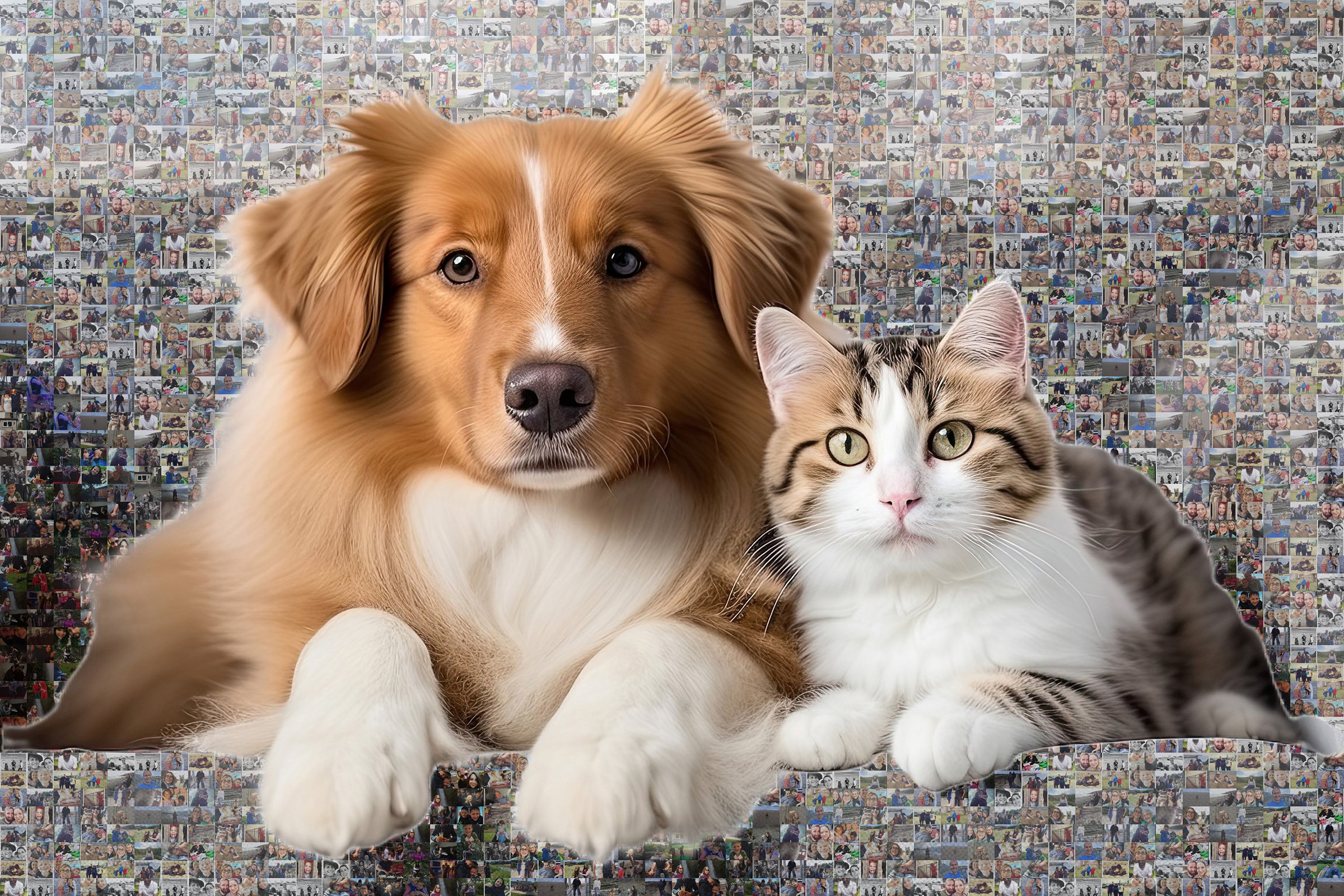Custom Pet Photo Mosaics – Personalised Keepsakes for Pet Lovers